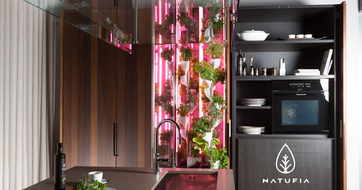 Natufia kitchen garden