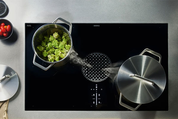 Bora cooking and extraction